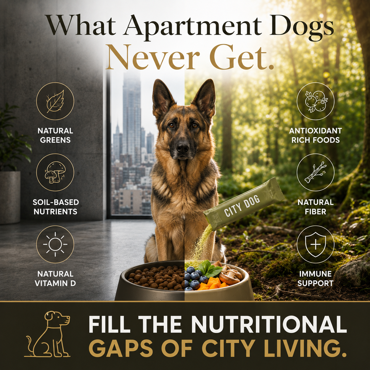 Daily Super Nutrition™️ — Backyard Nutrition In Every Meal