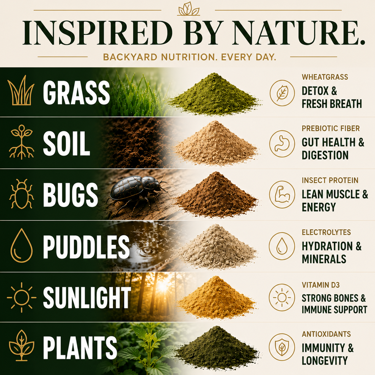 Daily Super Nutrition™️ — Backyard Nutrition In Every Meal