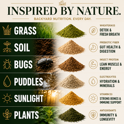 Daily Super Nutrition™️ — Backyard Nutrition In Every Meal